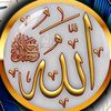 user120431992