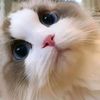 msturufhfugmail.com