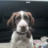 jakesrandomcontent