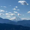 yukibu14