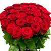 tasfia.akter822