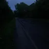 vinniestaa