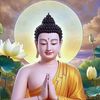 phat tu gia6688