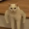 nami_poop4