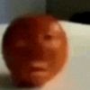 gabe_508