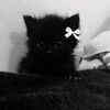 cutewq1