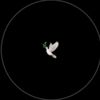 sevenms14