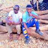 user19123959680201