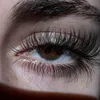 17.inb