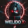 welido300