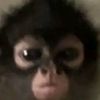 kimchana_1111