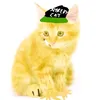 simba.aggo