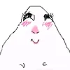 mgenzxsrlr_