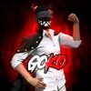 goko_11