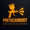 pintucarrogt