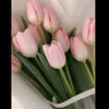 ema_3561