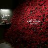malaz.mamoun6