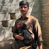 xardar948