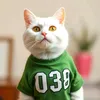 kittoohan