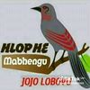 user6980346669203