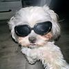 valery.marcando