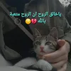 user8171926020721