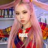 rose.25263