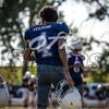 _royce4