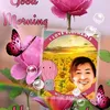 babi63744