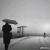 rr2oo44