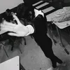 felix_dinha21