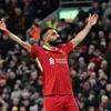 nour.mohamed6447