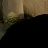 itsmeeeii1