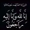 liva.zaid