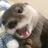 leuuu1313