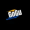 gogu2025