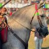 sebas23_72