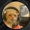 ilikecats661