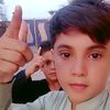 hashim_gull_2