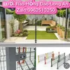Hang rao hong dao 0109