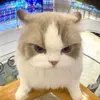 ngnhatminh17