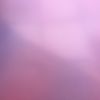bwibiepl_