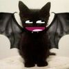 xd_ld2