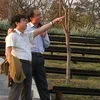duy.anh0719