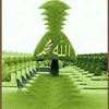 mohammadsididiq