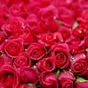 hira6778967