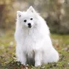 thao.nguyen4564