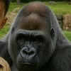 isyraf.rifqi3
