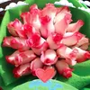 .tung.chuyn.thit
