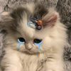 someone_to_talk.8